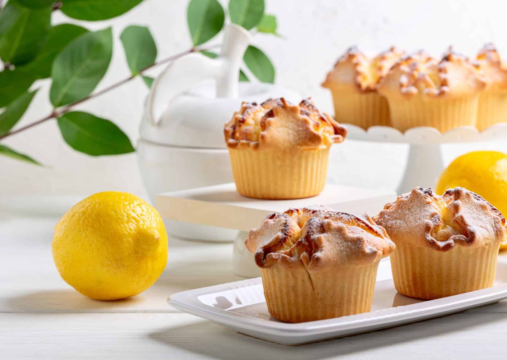  Lemon Ricotta Easter Cake