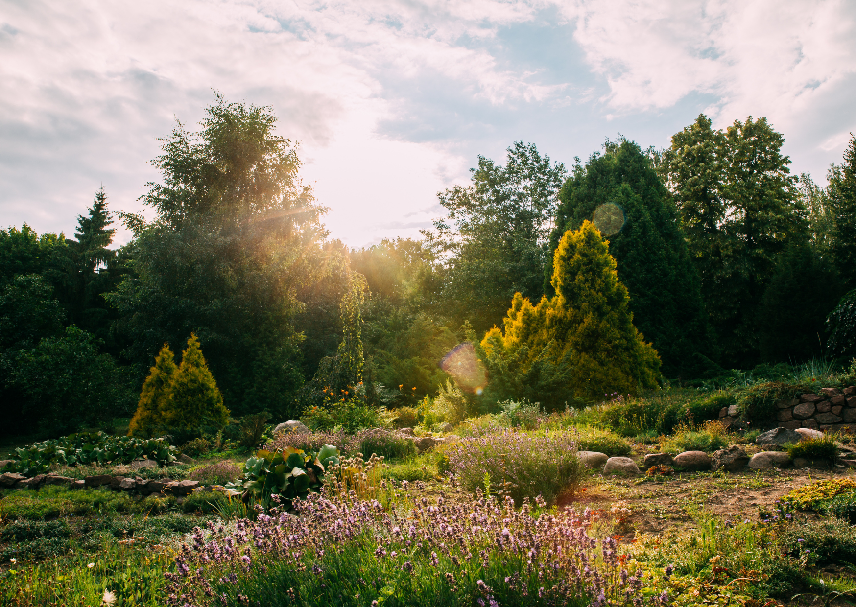 The Morning Light Trick Mediterranean People Use for Better Sleep Cycles 5