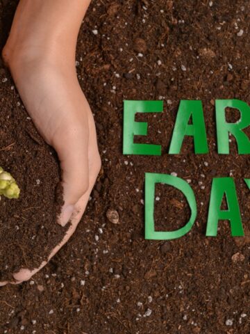 Earth Day Around the World: How Different Cultures Celebrate Nature