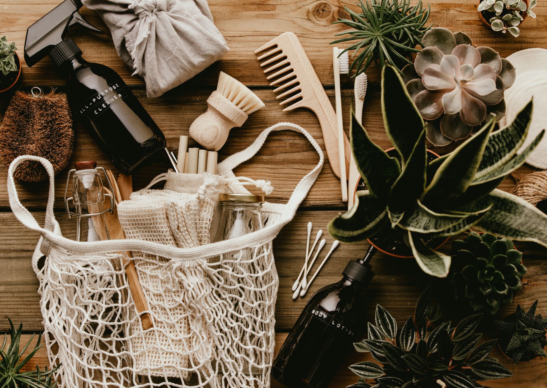 How to Make Your Next Vacation Eco-Friendly (Without Sacrificing Fun) 2 How to Make Your Next Vacation Eco-Friendly (Without Sacrificing Fun)