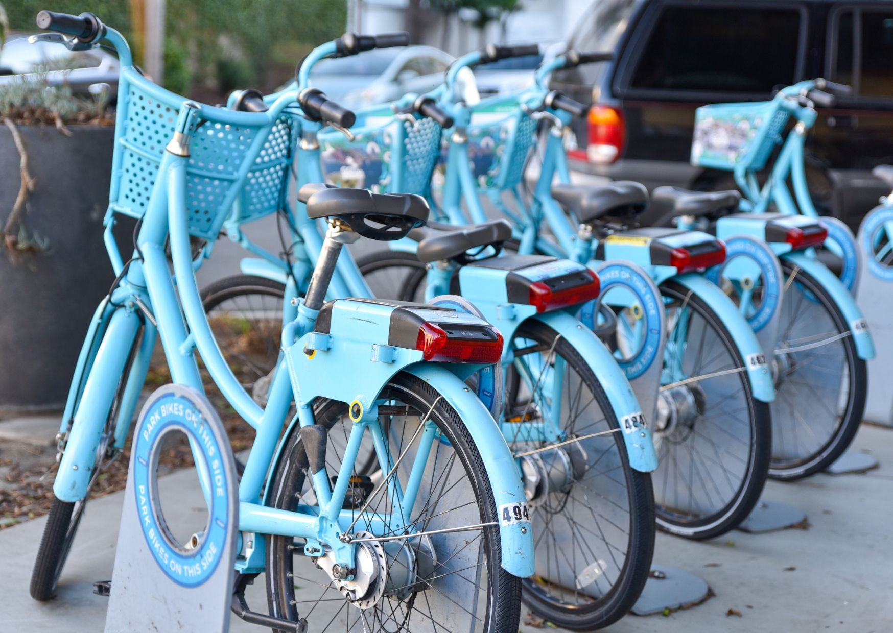 How to Make Your Next Vacation Eco-Friendly (Without Sacrificing Fun) 5 How to Make Your Next Vacation Eco-Friendly (Without Sacrificing Fun)