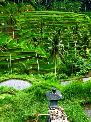 How I Work Remotely While Living in Paradise for $1,200 a Month