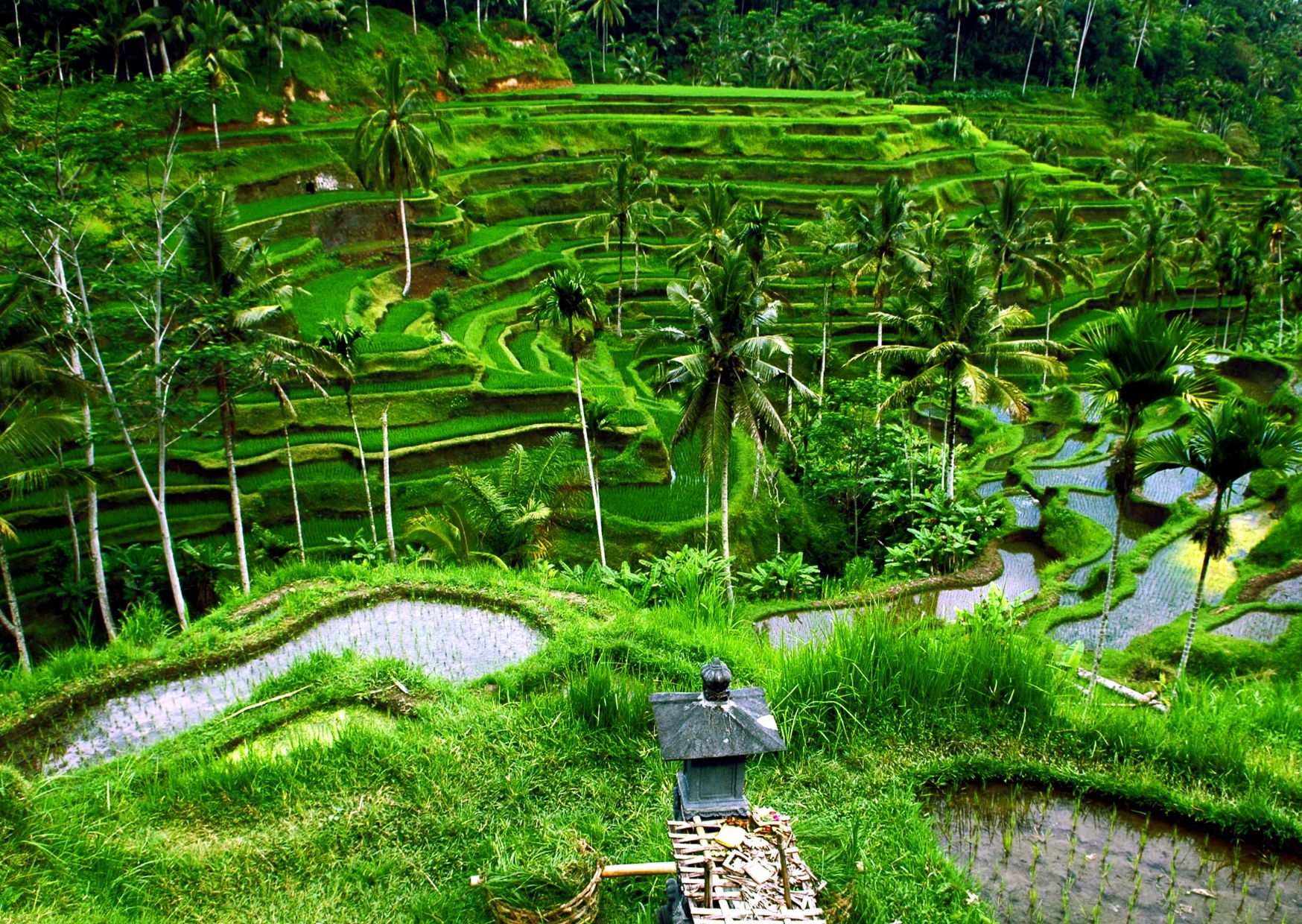 What $1,200 a Month Really Buys Abroad: How I Built a Remote Work Life in Paradise for Just $1,200 a Month 1 How I Work Remotely While Living in Paradise for $1,200 a Month