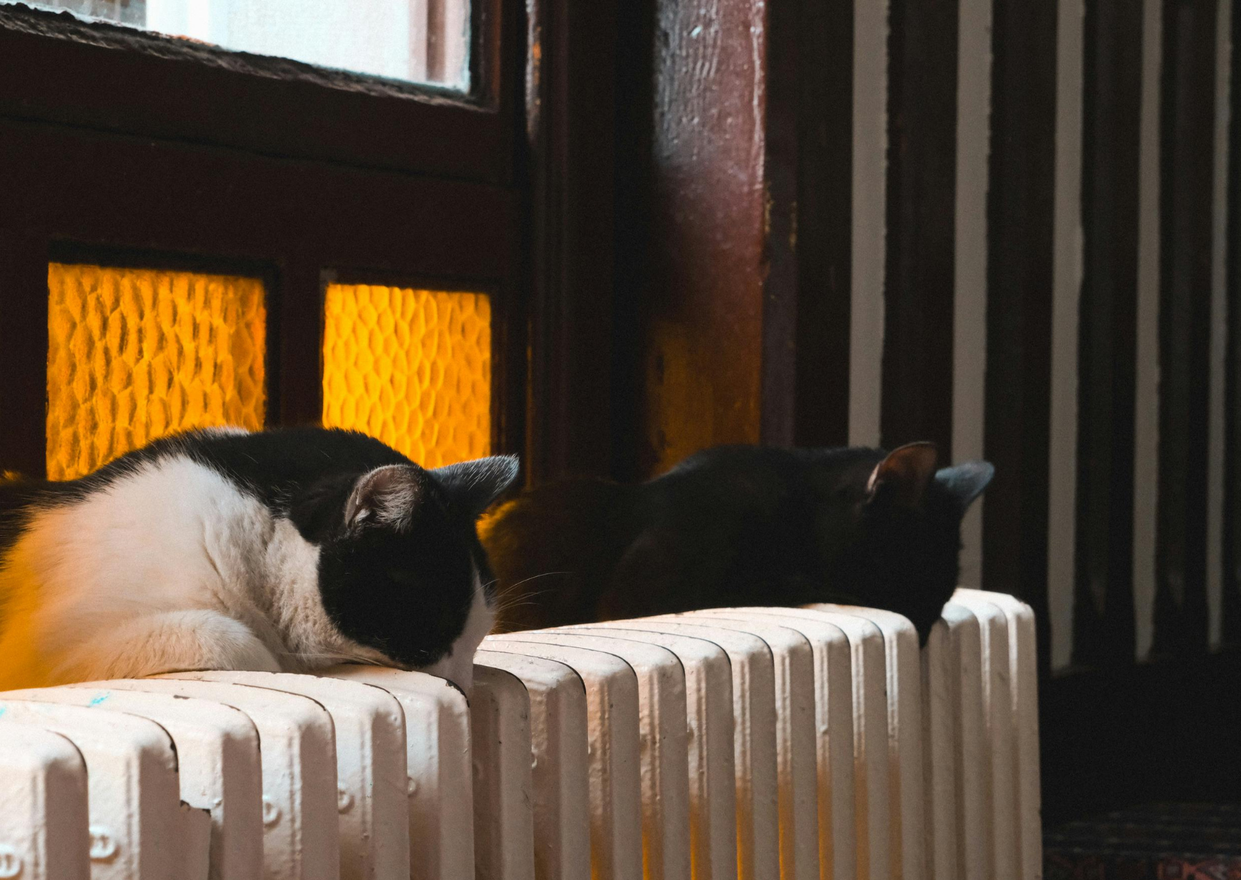 Why Europeans Keep Their Homes at This Temperature Americans Would Find Unbearable 3