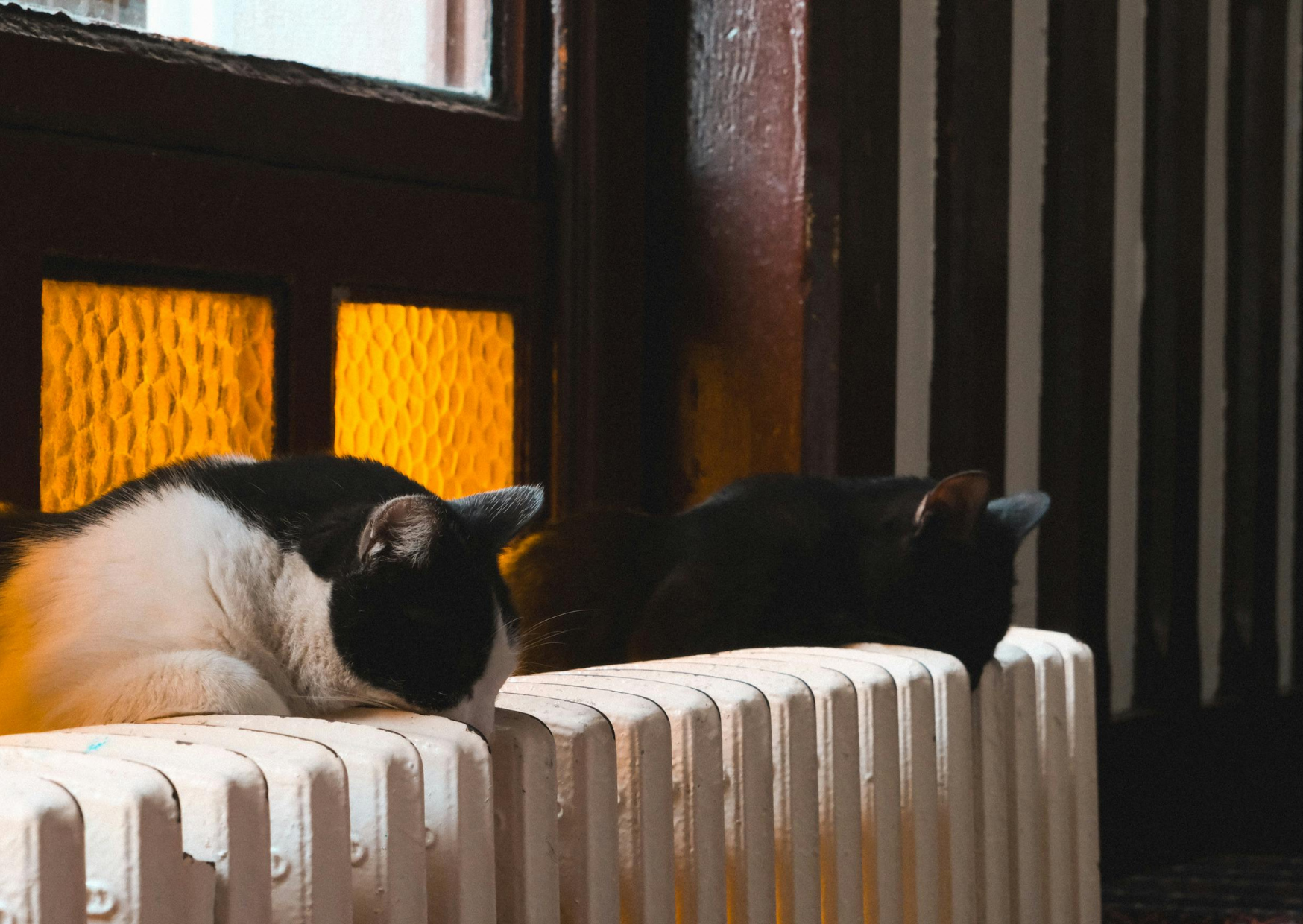 The House Temperature Italians Keep That Would Freeze Americans 3 House Temperature Italians Keep 4