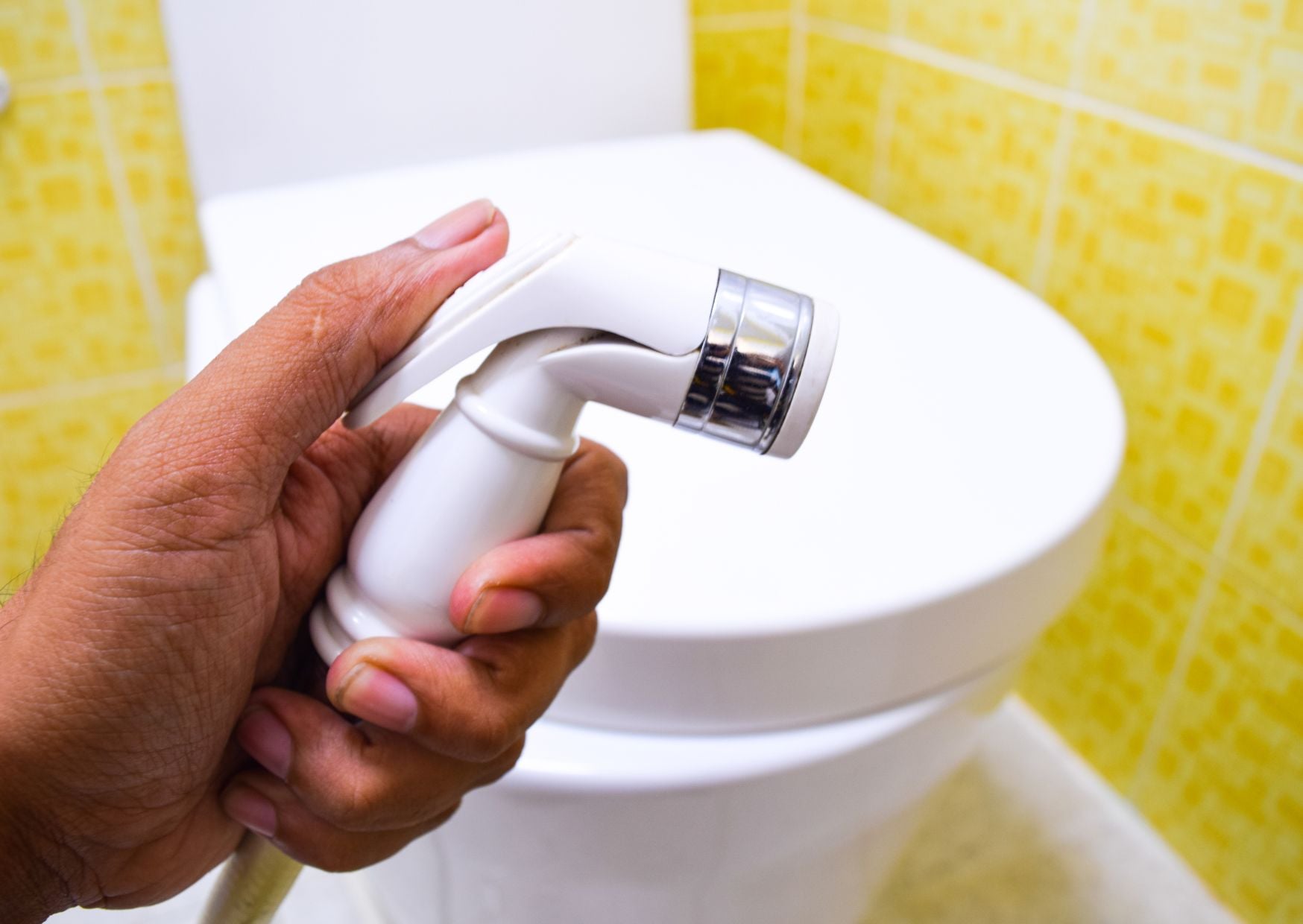 Toilet Paper vs. Bidets: The Cleanliness Debate No One Can Agree On 1 Mediterranean 24