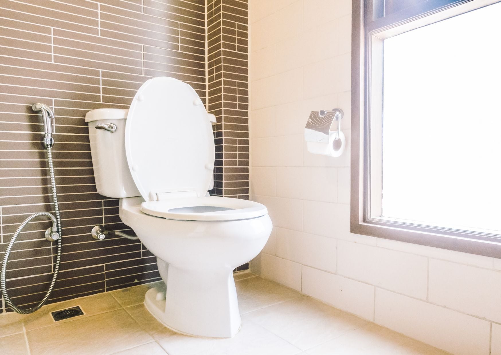 Toilet Paper vs. Bidets: The Cleanliness Debate No One Can Agree On 7 Mediterranean 25