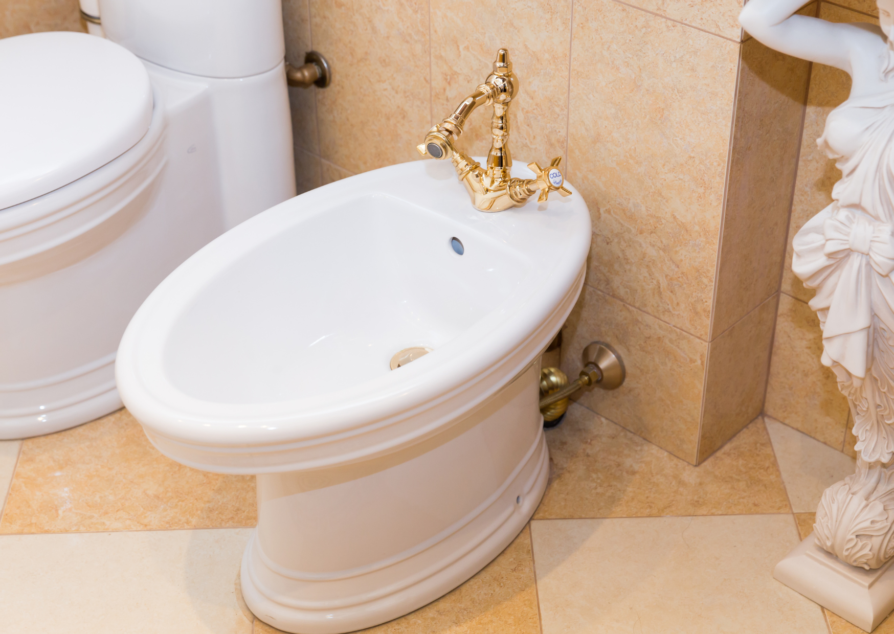 Bidet Temperature Setting French Prefer 6