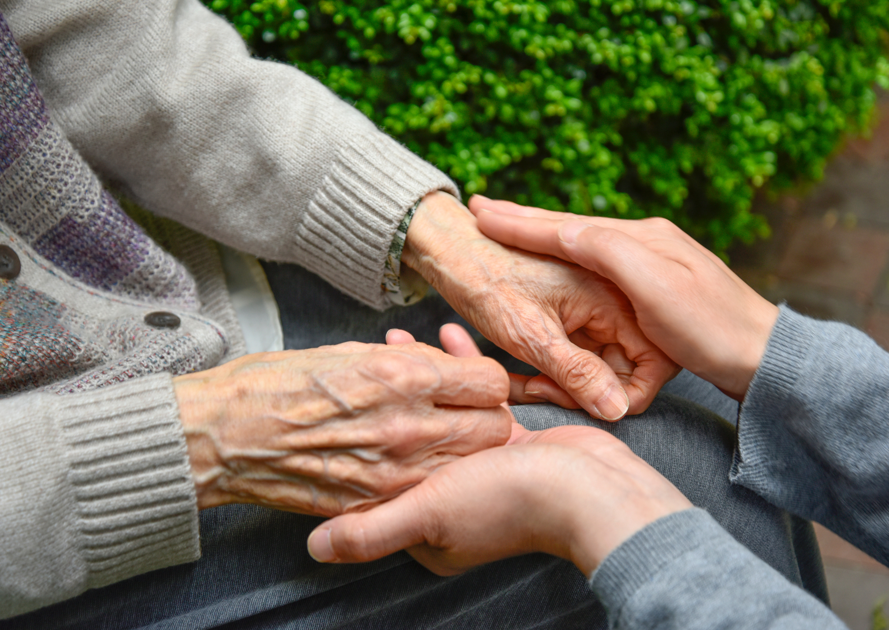 The Early Dementia Warning Sign Families Usually Recognize Too Late 5 Dementia 3