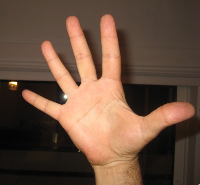 The Hand Gesture Americans Make That's Illegal in Three European Countries 1 Single Moutza