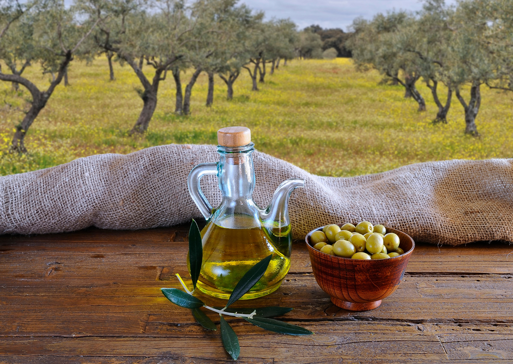 Spain’s Kitchen Fat Secret: The Oil Spanish Grandmothers Never Skip 3 Spanish Grandmothers Cook With This Oil 2