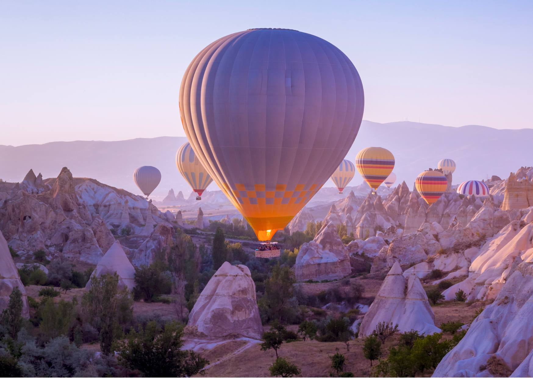 American Express Travel Insurance 5