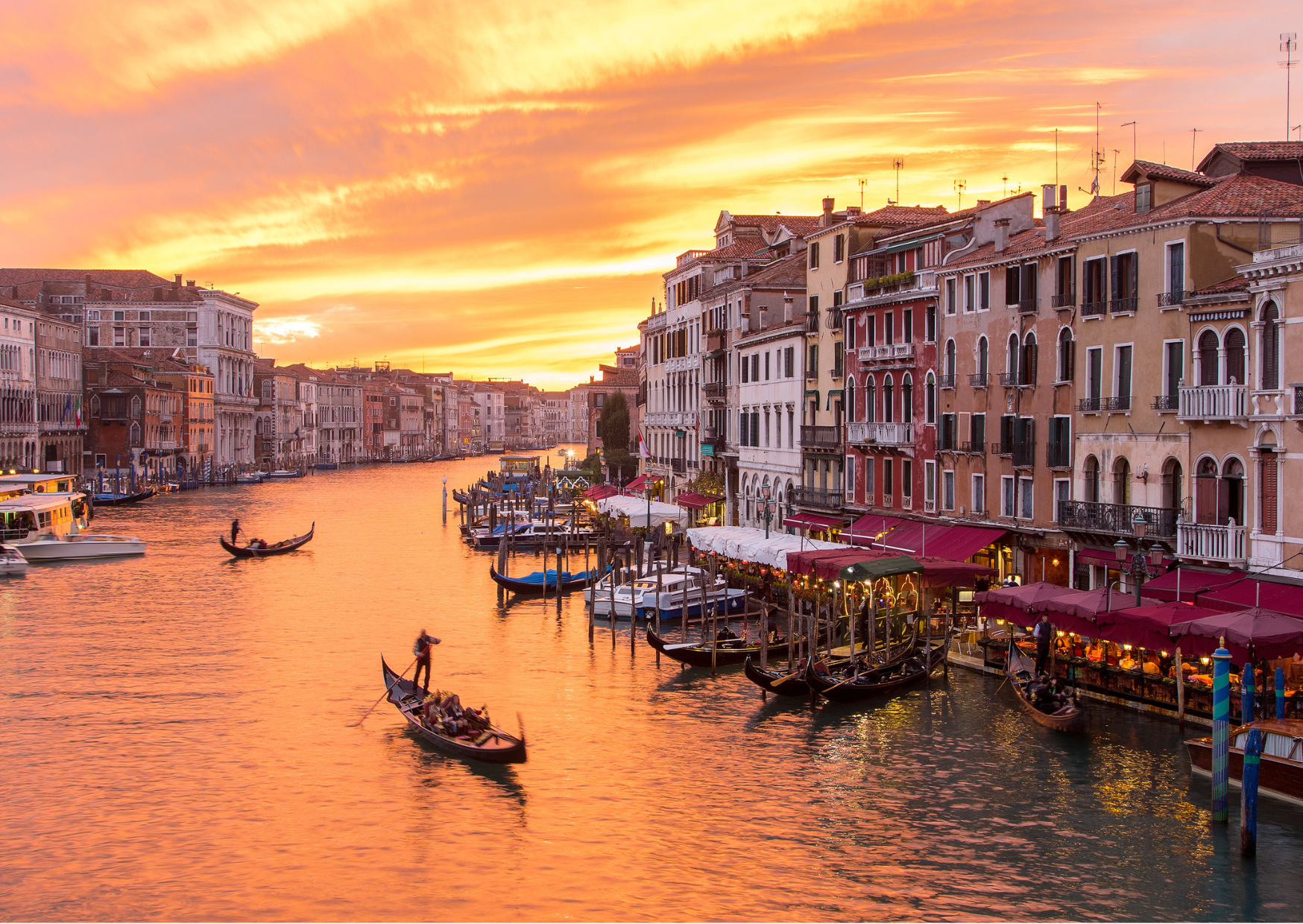 American Express Travel Insurance