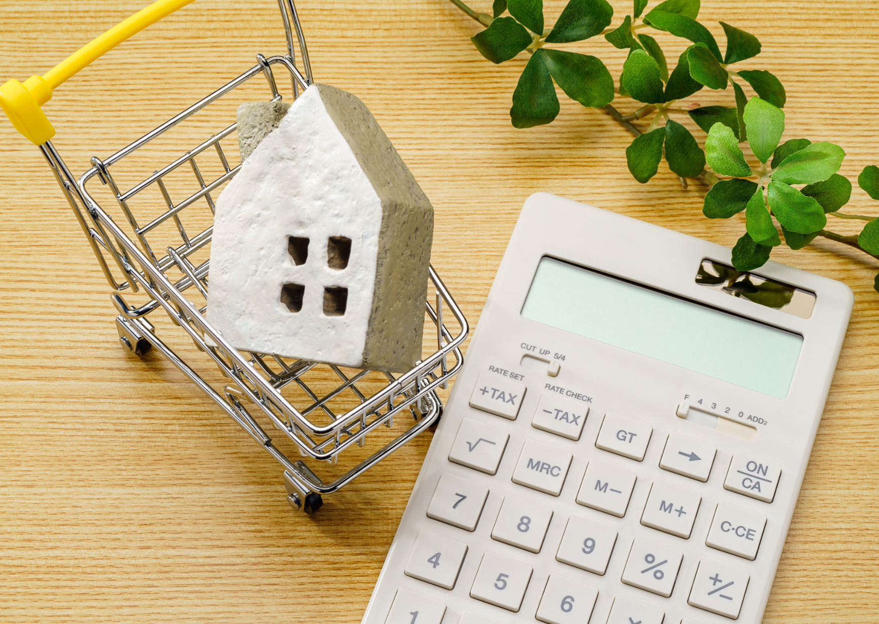 The Portuguese Property Purchase That Requires Zero Credit History 5 Portuguese Property Purchase 2