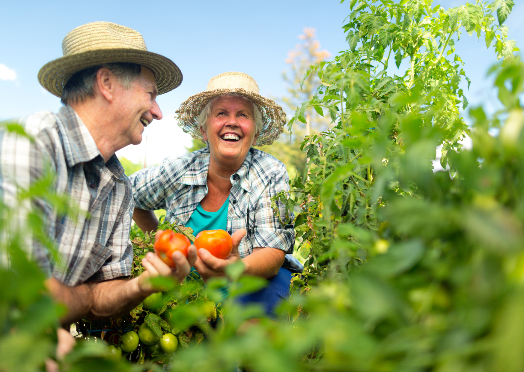 The Social Clubs for Retirees in Spain That Prevent American Isolation 4 Social Clubs for Retirees in Spain 5