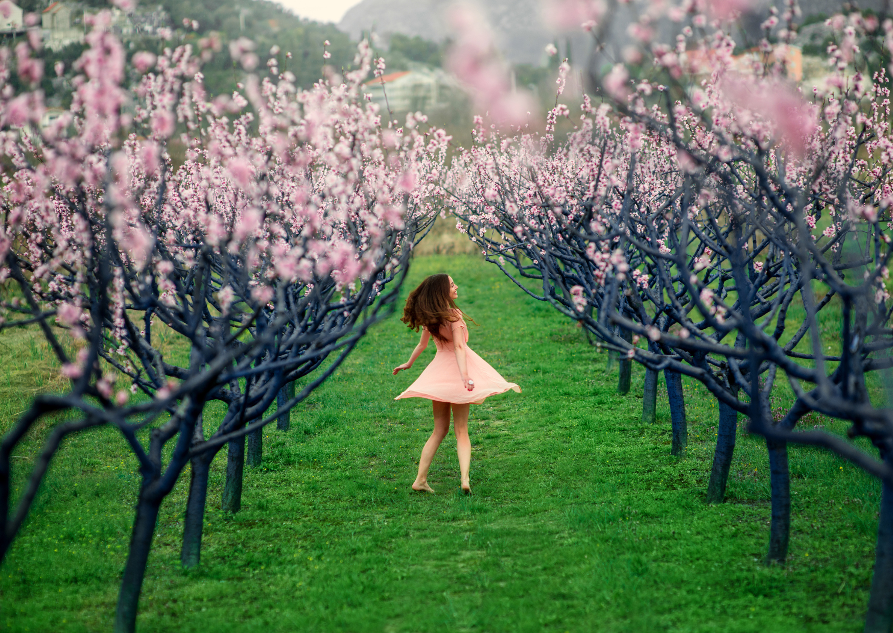 Spring in Europe 2