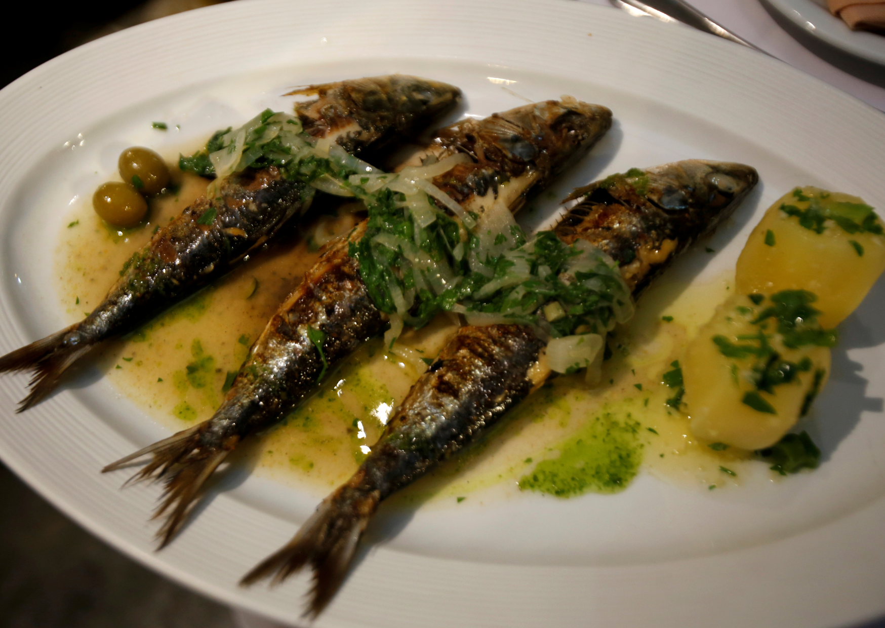 Portuguese sardine 4