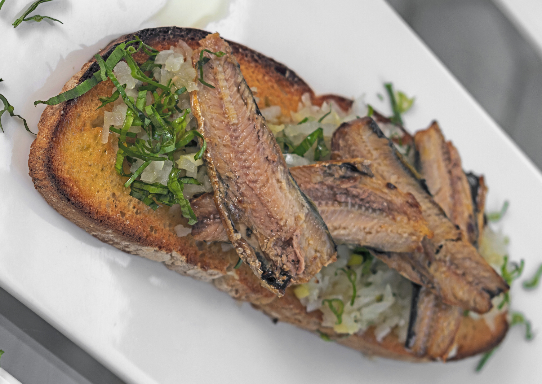 Portuguese sardine 5