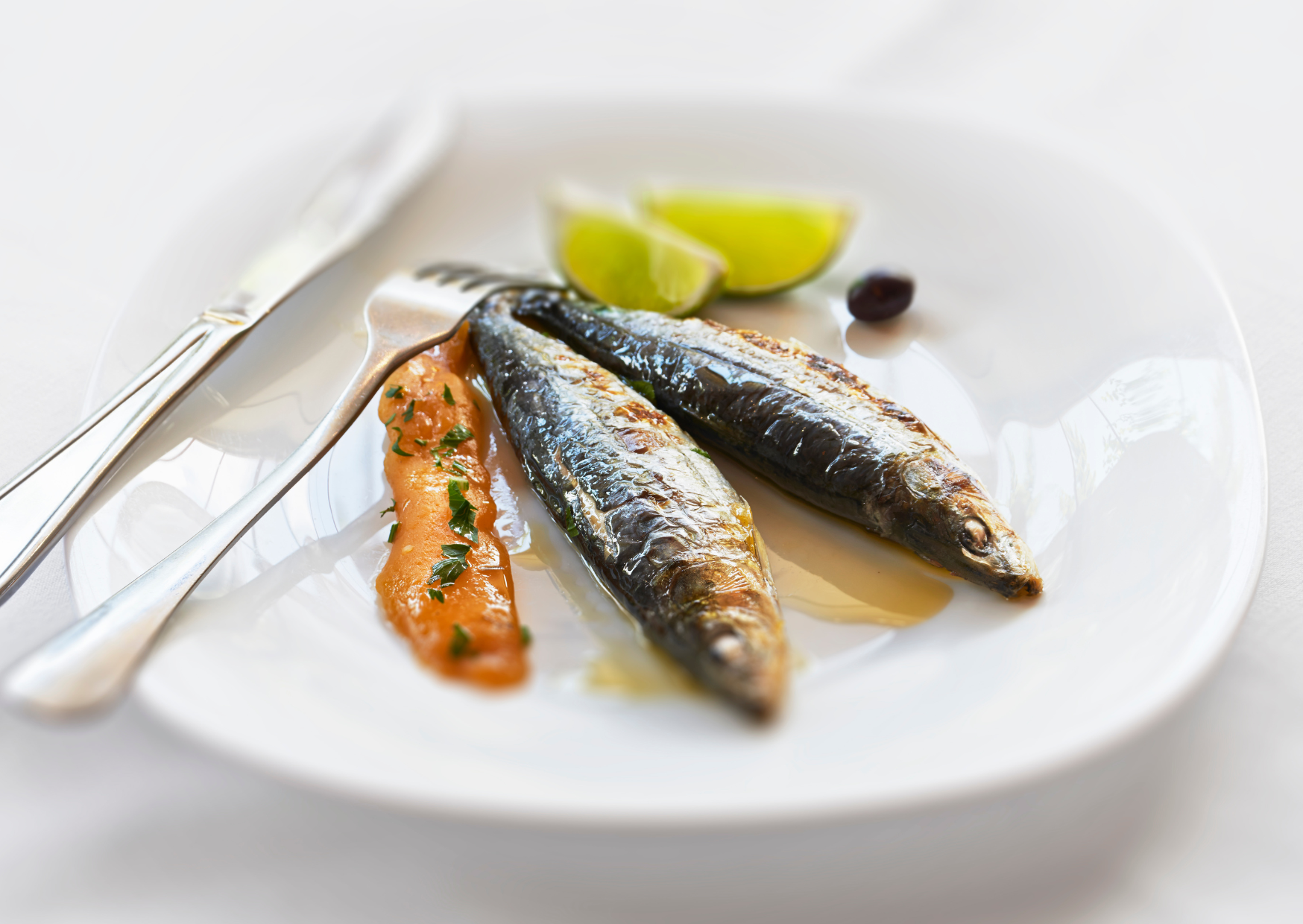 Portuguese sardine 6