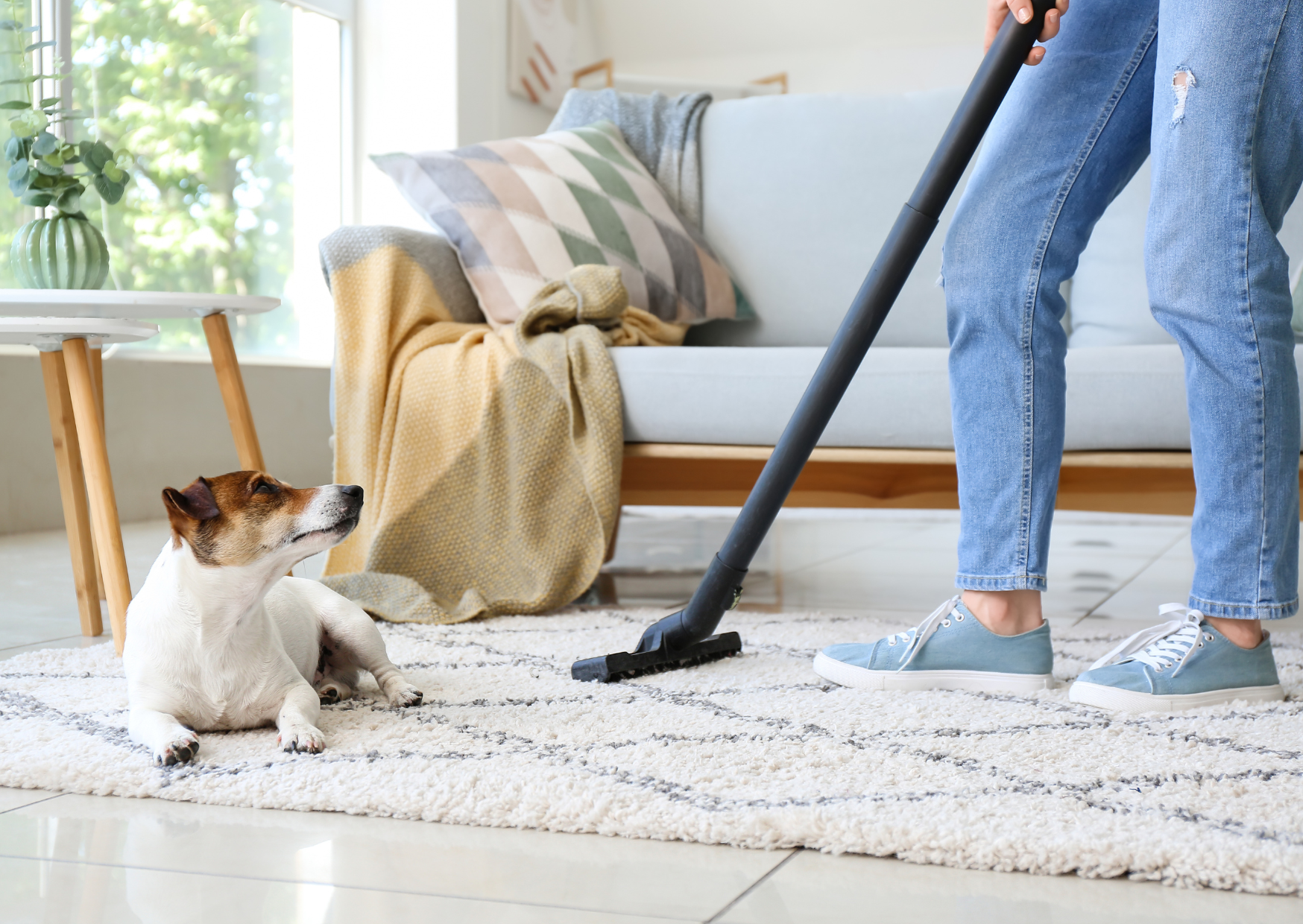 European Cleaning Products Cost €15 Monthly — Americans Pay $70 And Need Inhalers 4 cleaning materials Europe 3
