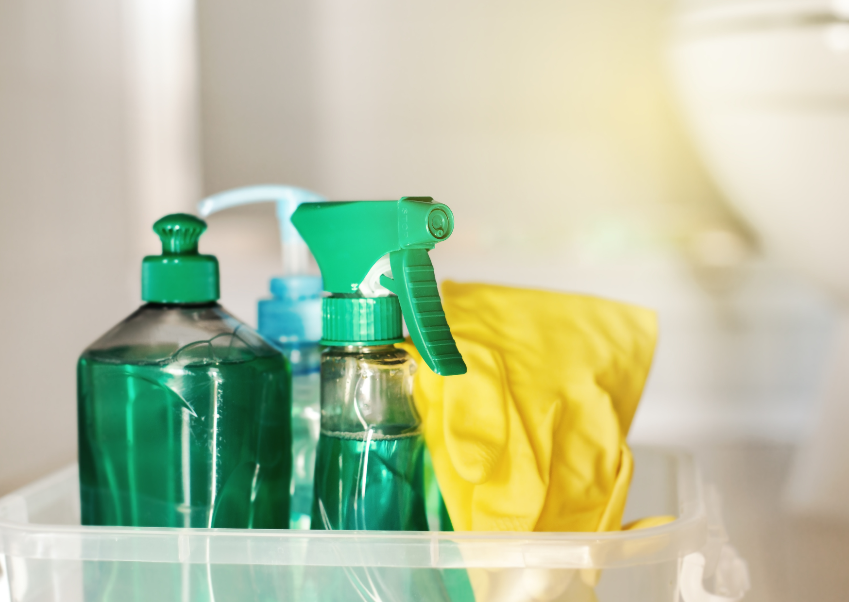 European Cleaning Products Cost €15 Monthly — Americans Pay $70 And Need Inhalers 3 cleaning materials Europe 5