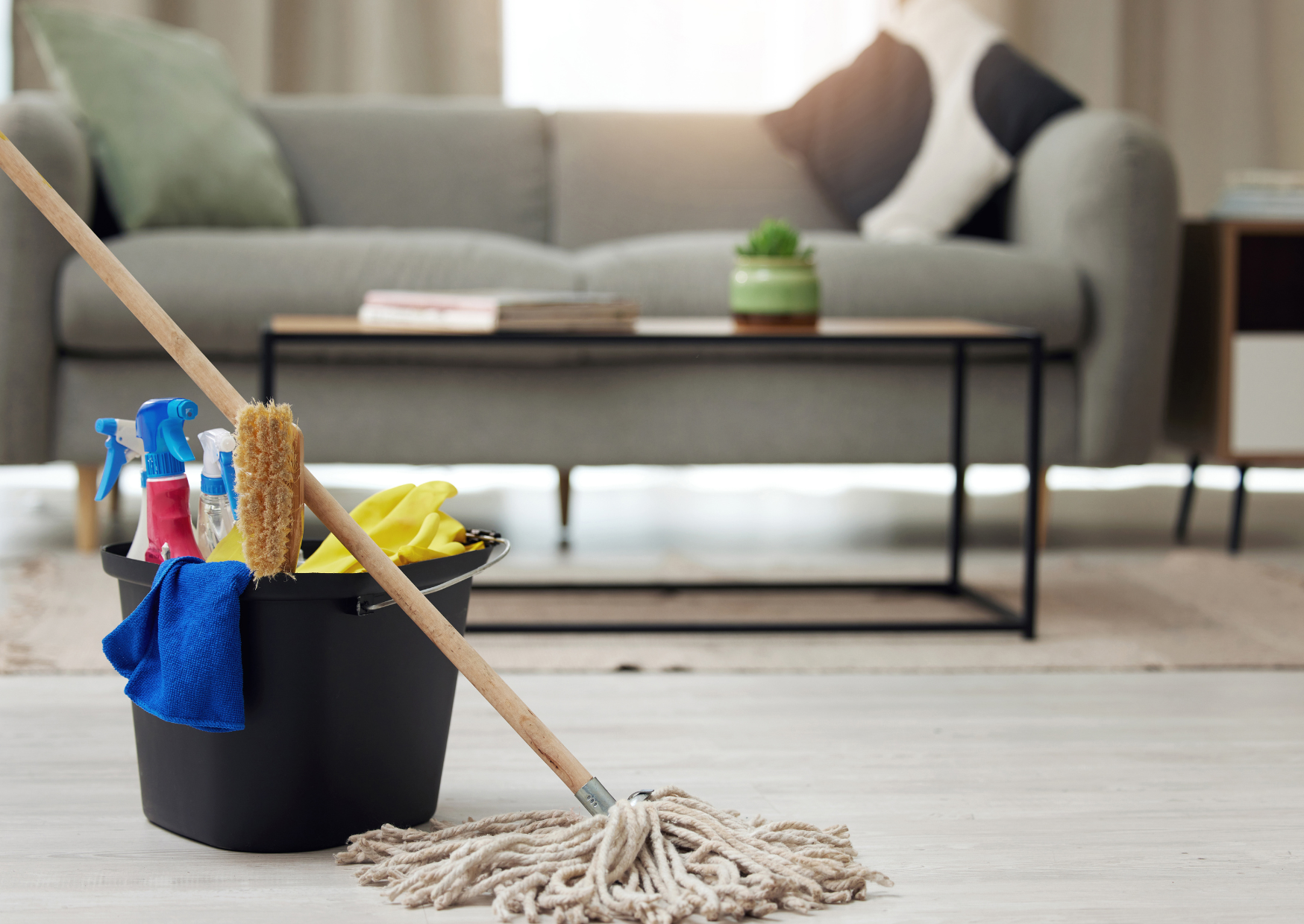 European Cleaning Products Cost €15 Monthly — Americans Pay $70 And Need Inhalers 5 cleaning materials Europe 6