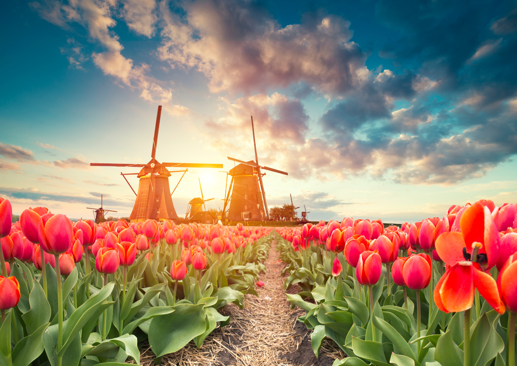 netherlands visa 4