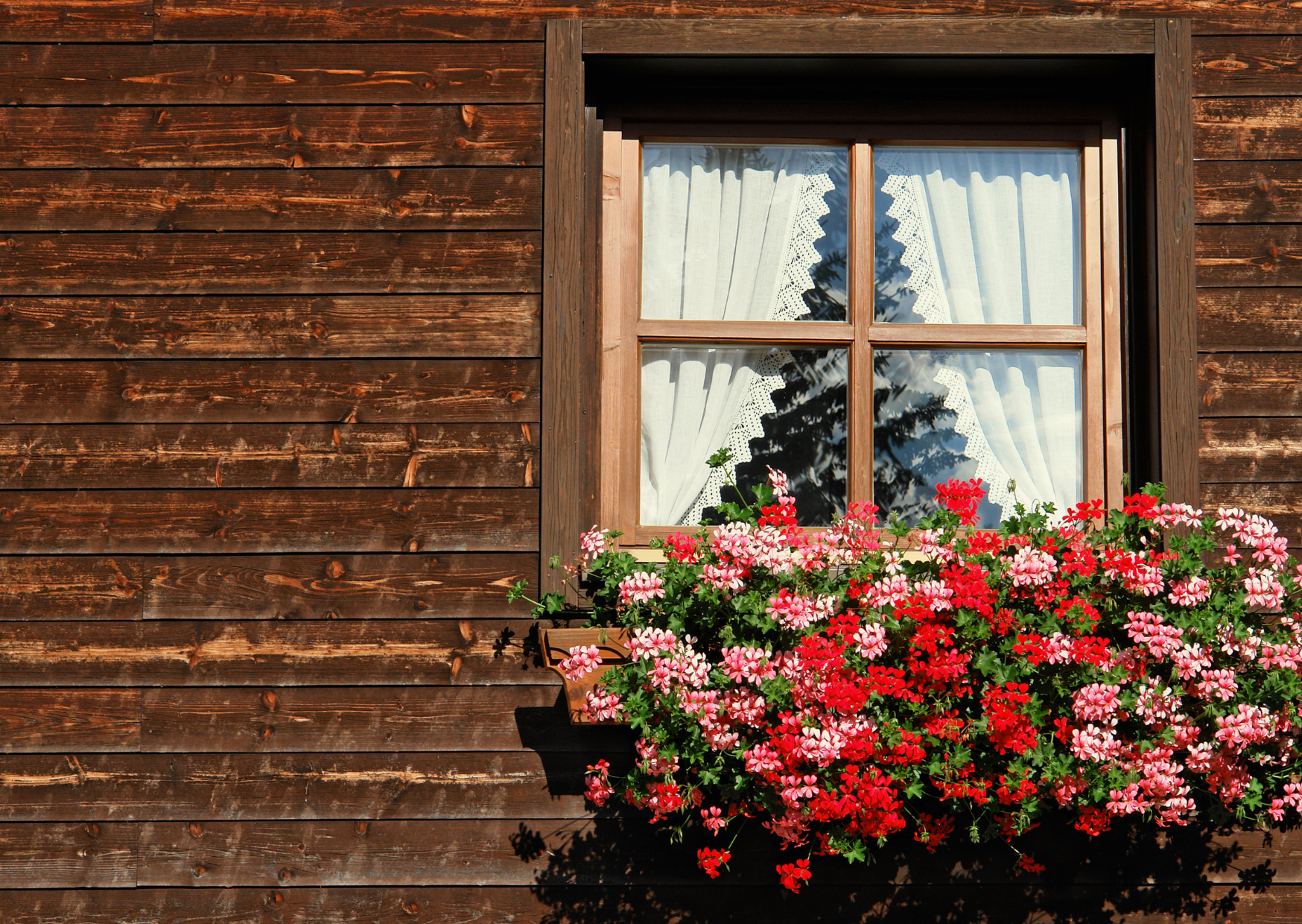 The Austrian Window Technique That Prevents Winter Depression 6 Austrian window 3