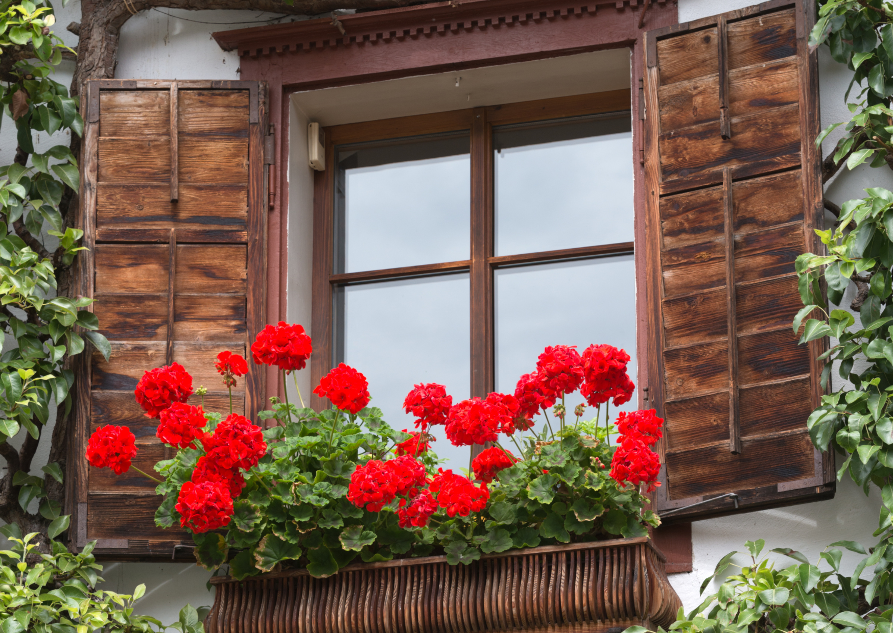 The Austrian Window Technique That Prevents Winter Depression 1 Austrian window 6