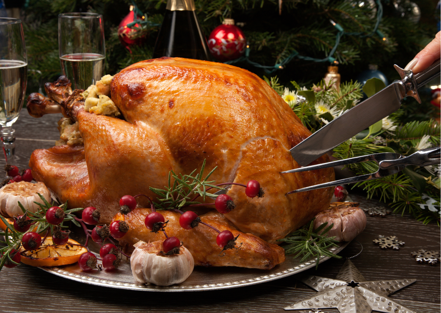 Butterball Turkey Injection 2