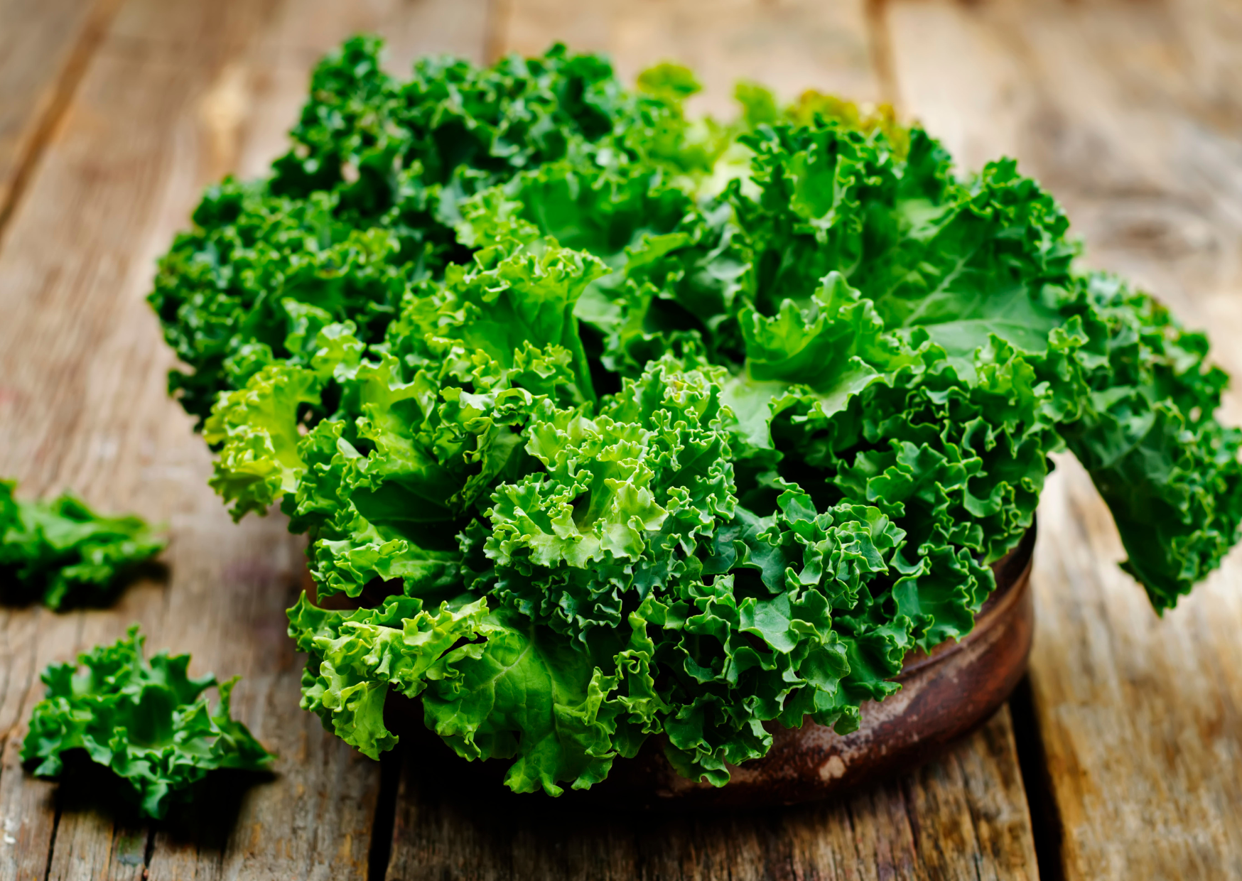 The Portuguese Winter Produce Diet - Energy Increased 40% in 3 Weeks 2 Portuguese Winter Produce 2