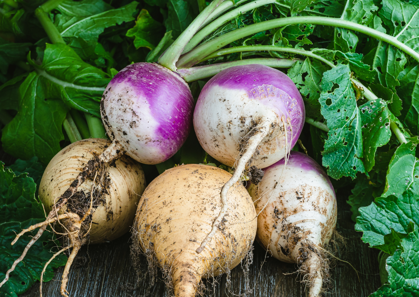 The Portuguese Winter Produce Diet - Energy Increased 40% in 3 Weeks 4 Portuguese Winter Produce 3
