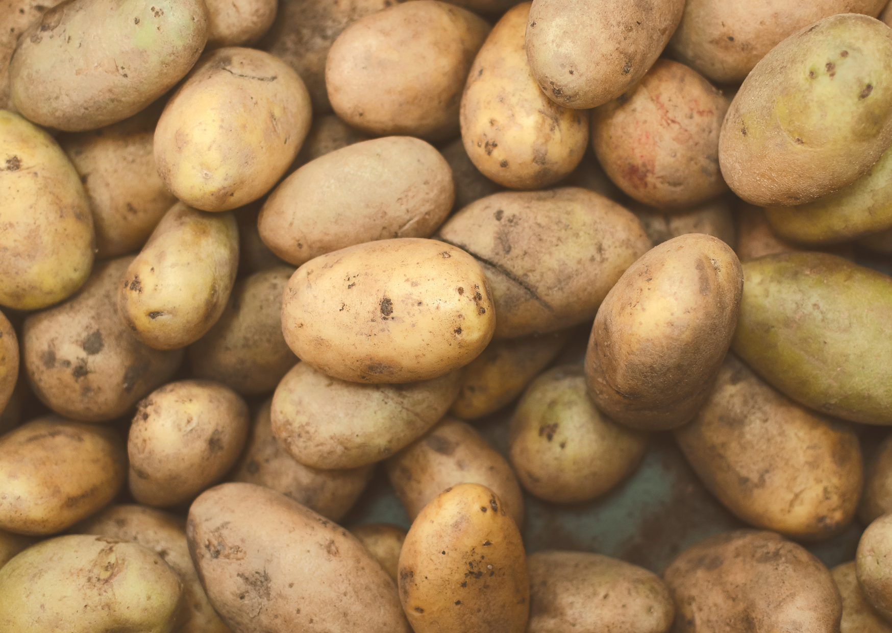 The Portuguese Winter Produce Diet - Energy Increased 40% in 3 Weeks 5 Portuguese Winter Produce 4