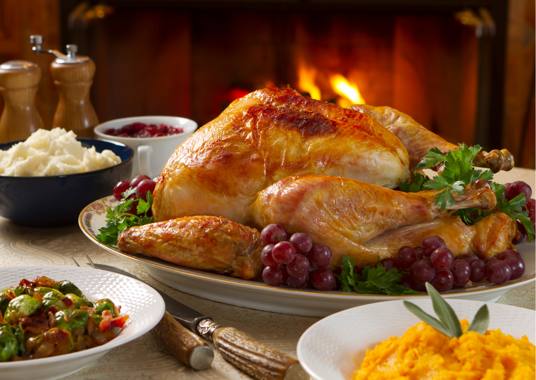 This Cheap Spanish Turkey Tastes Better Than Expensive U.S. Birds 4 Spanish Turkey 3