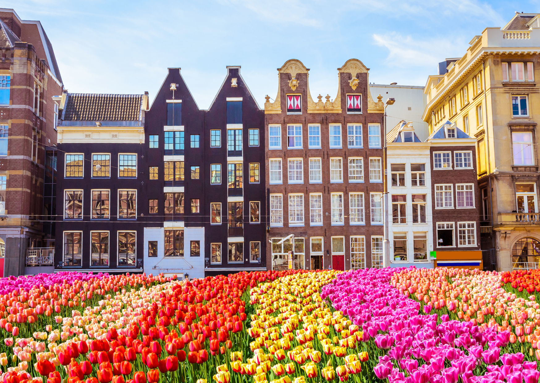 european landlords 3