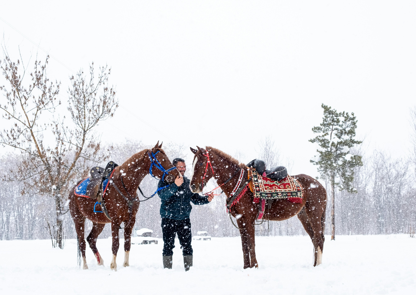 winter 5