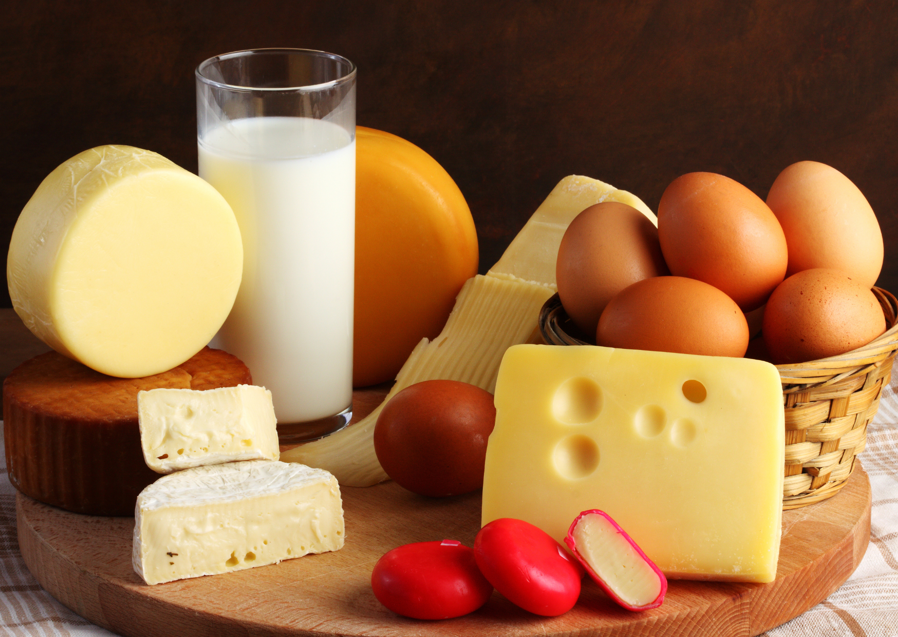 American dairy 3