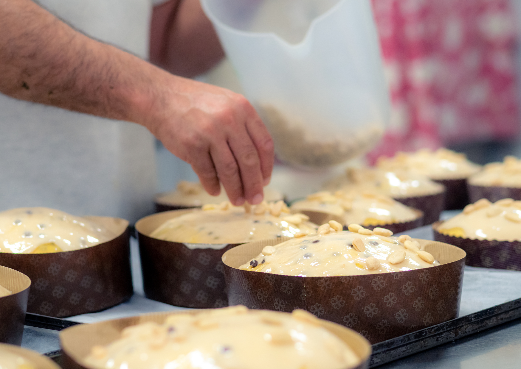 Italian Panetonne 6