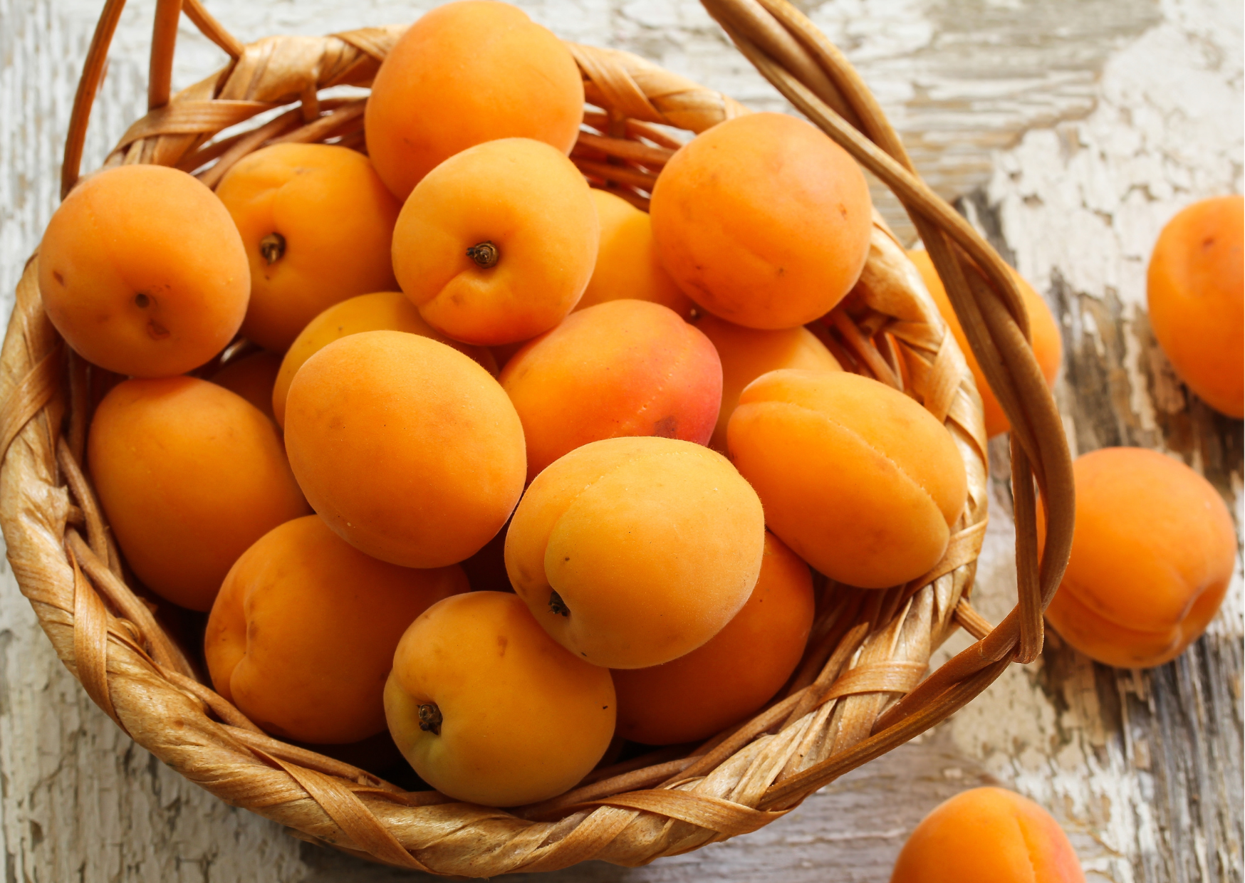 Italian seasonal food