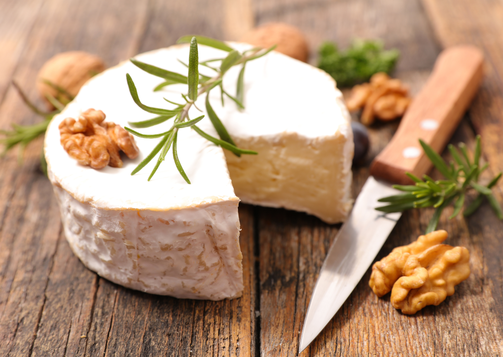cheese camembert