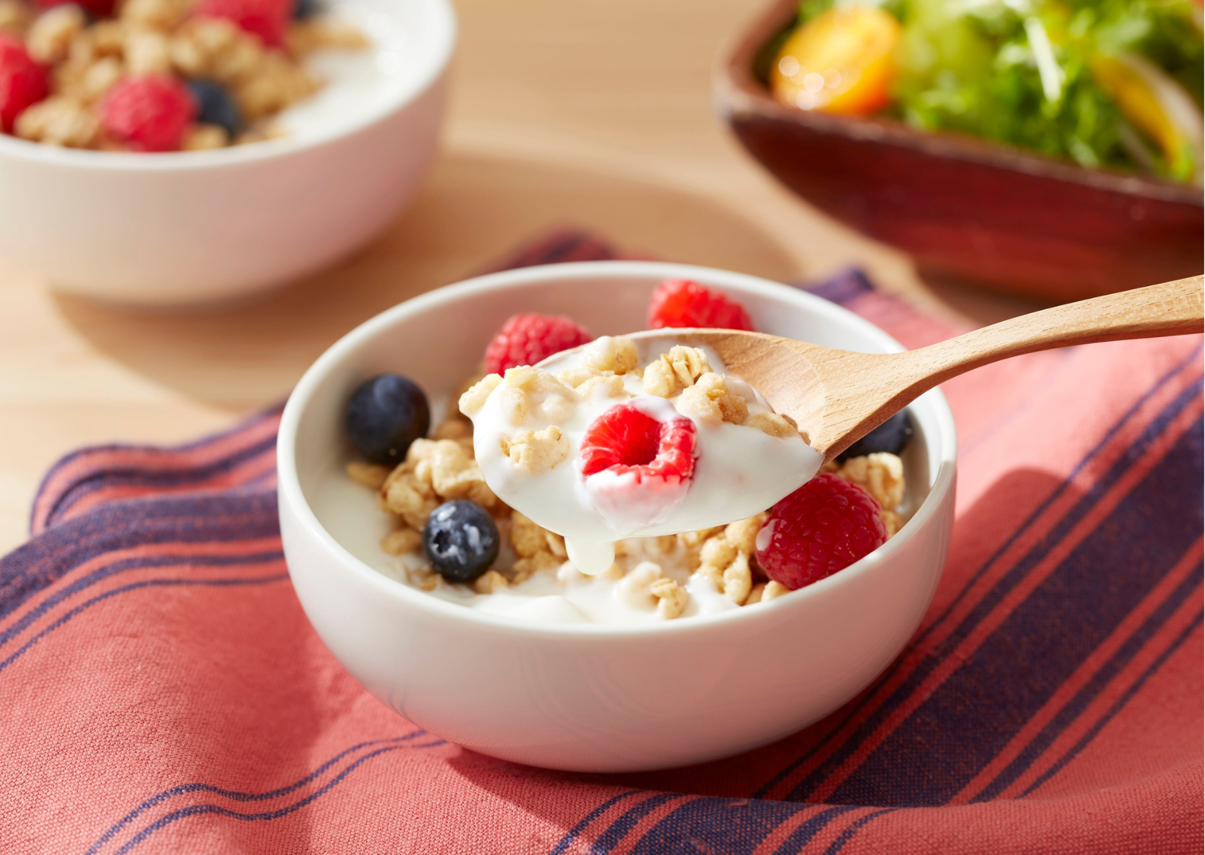 American Yogurt 3