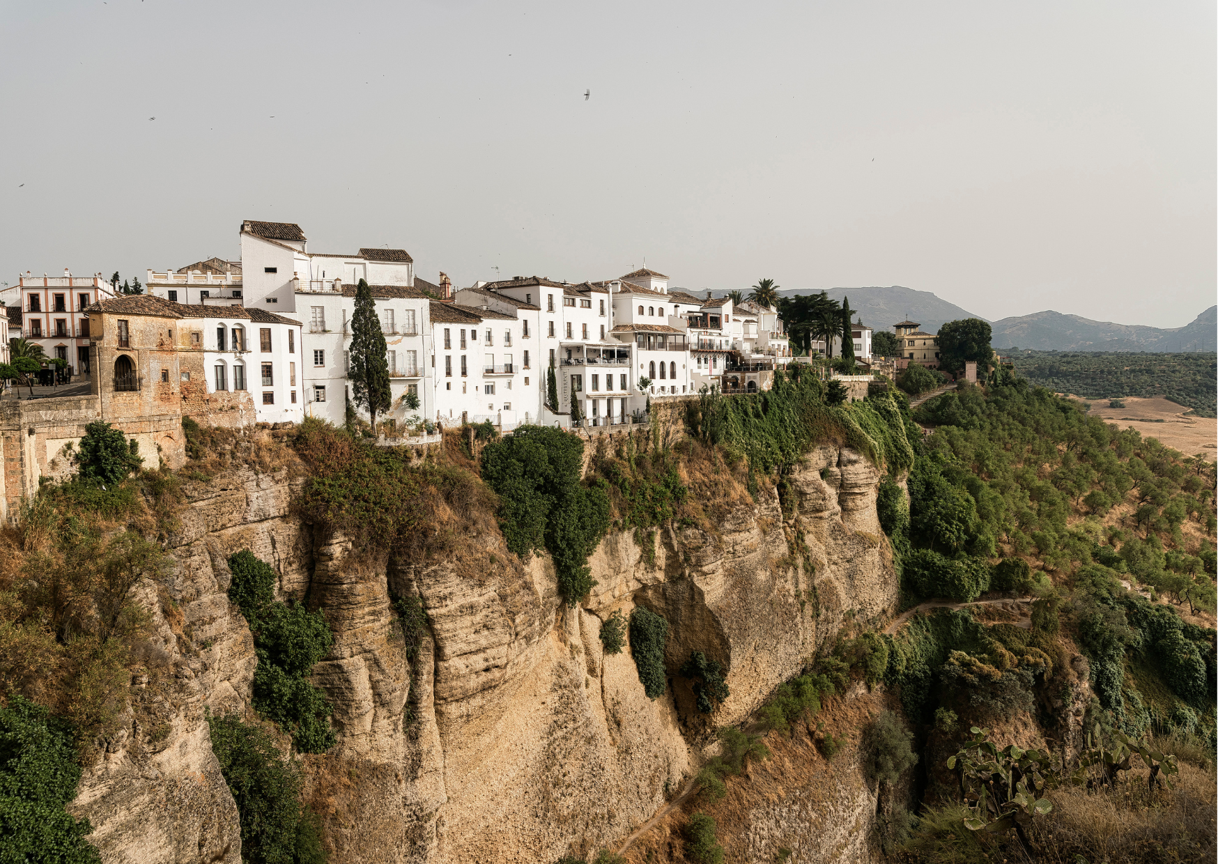 Spain 4