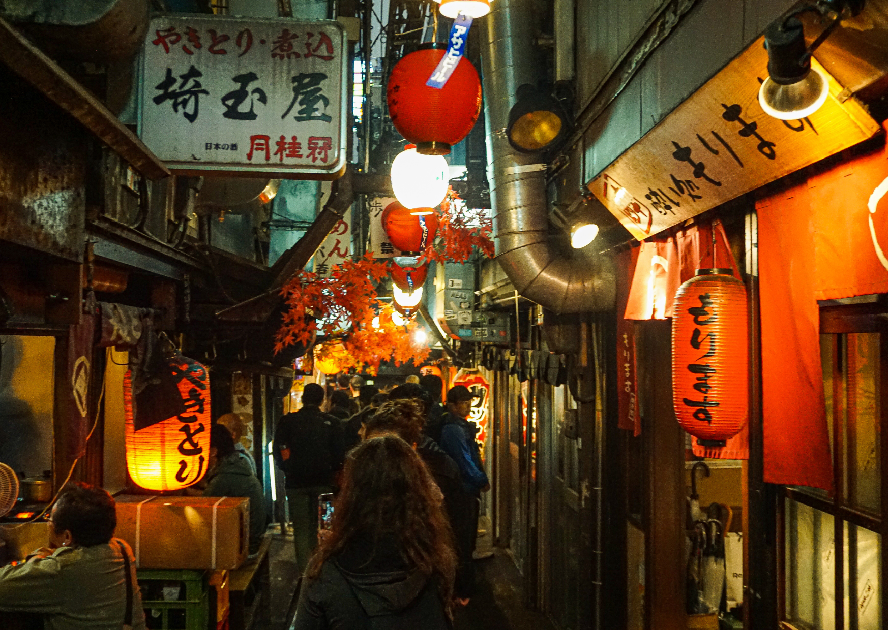 The 2-Week Japan Window Americans Keep Missing 6 Japan 10