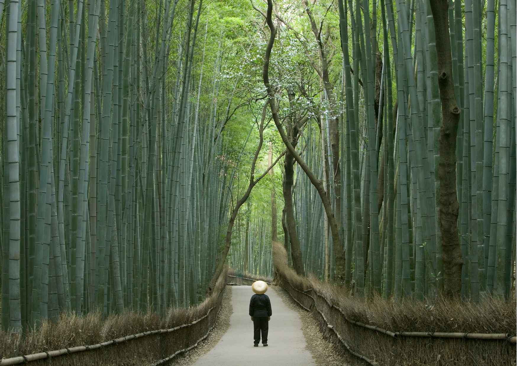 Japan budget 5