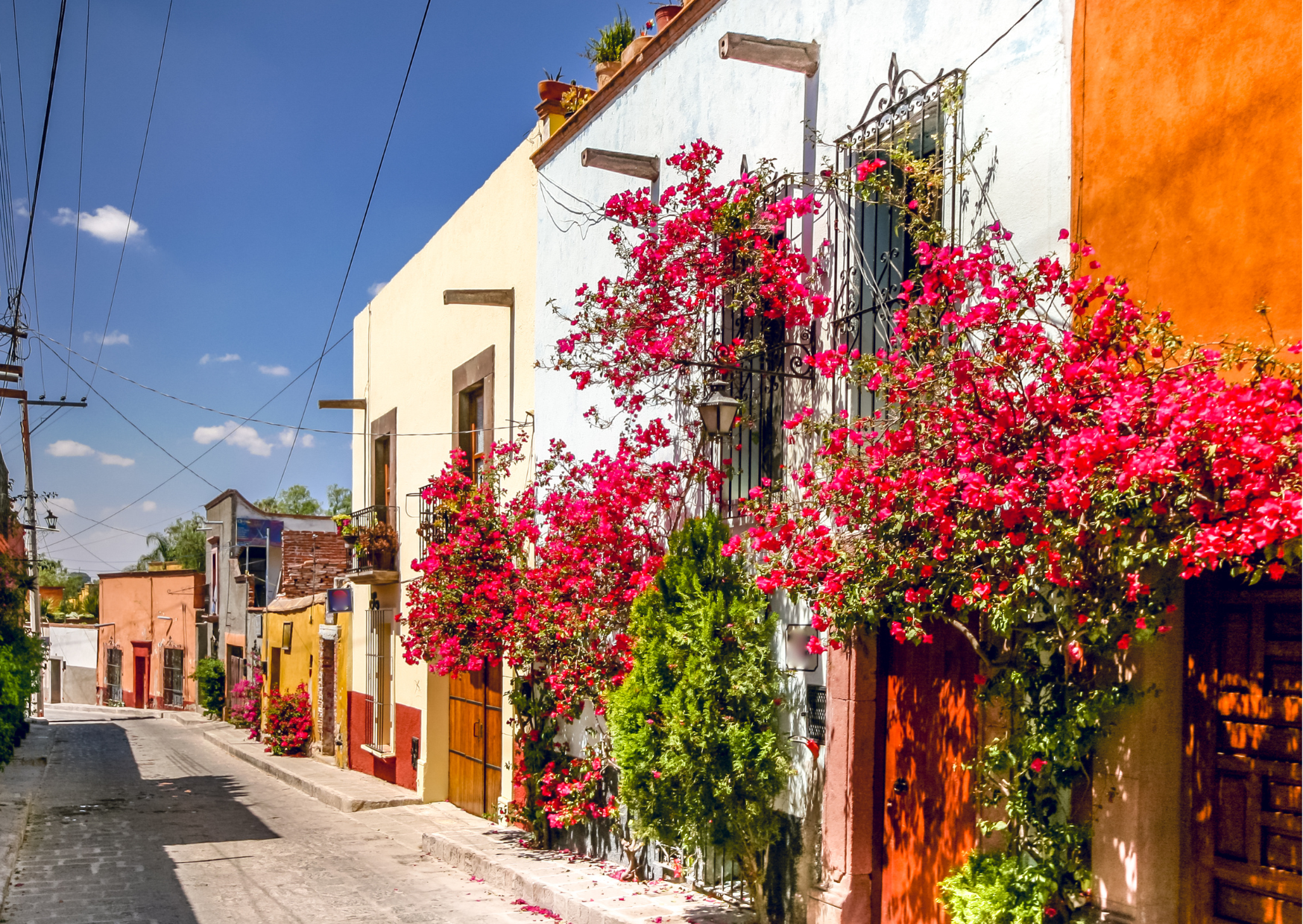 San Miguel de Allende 2