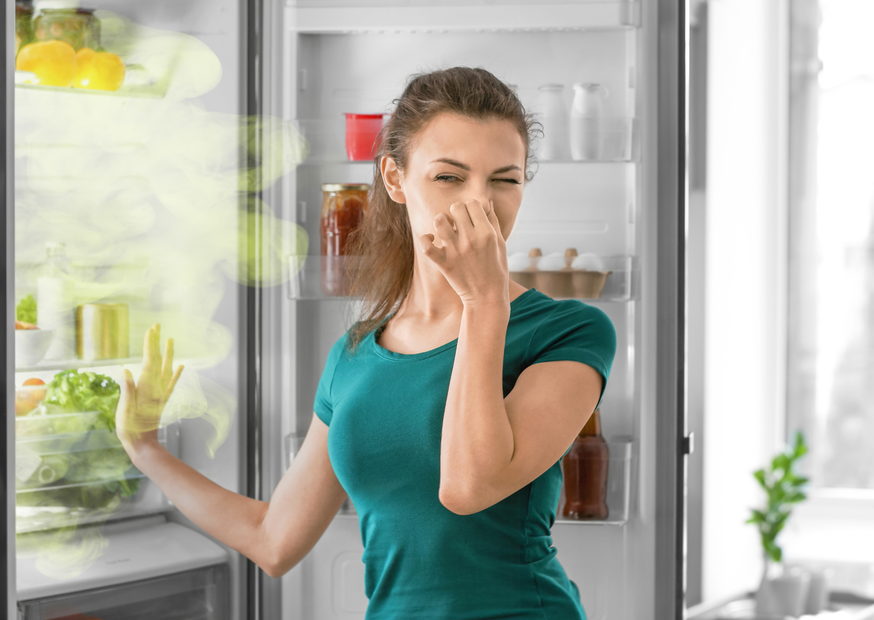 11 American Refrigerator Habits That Europeans Find Disgusting 5 American fridge 3