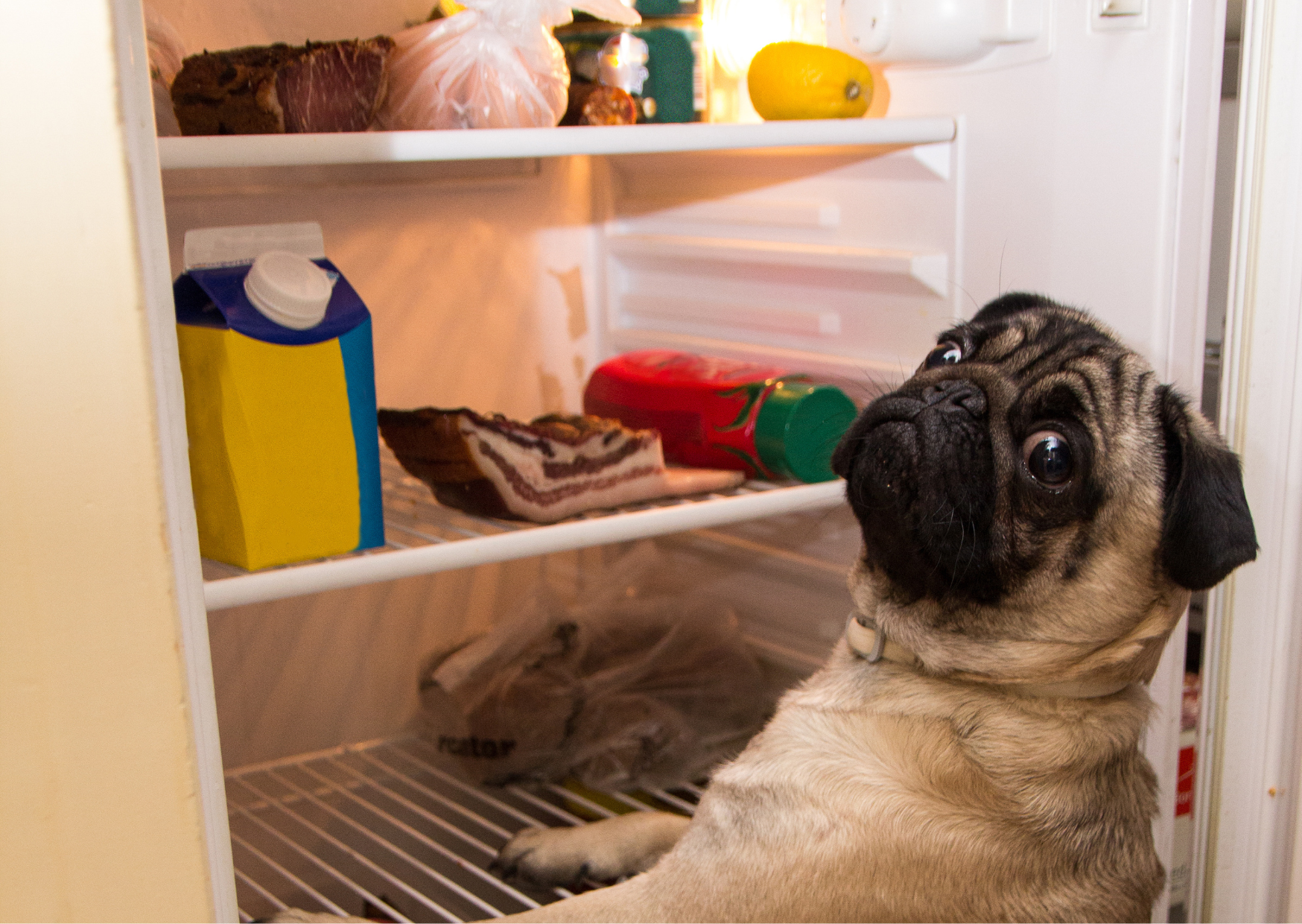 11 American Refrigerator Habits That Europeans Find Disgusting 1 American fridge 6