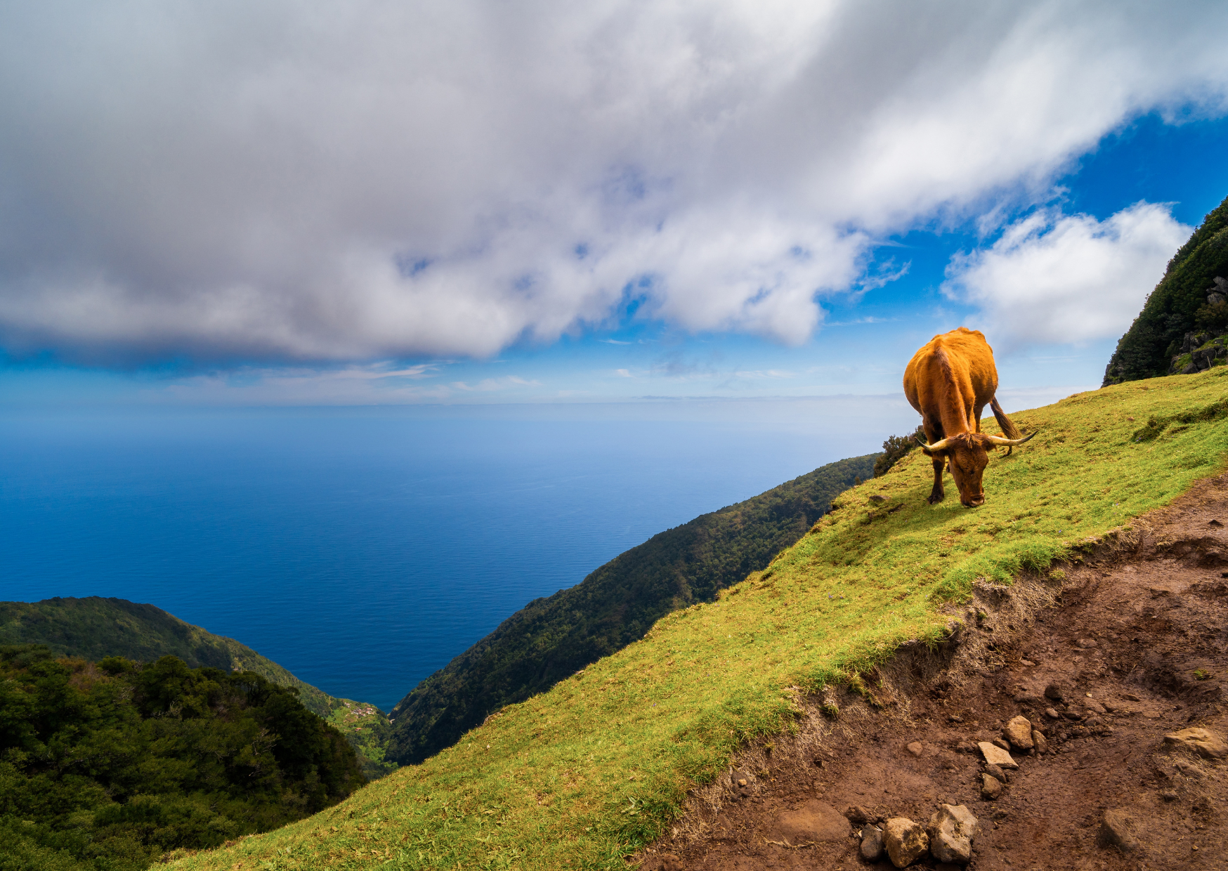 We Retired to Madeira With $185,000 at 59: Balance at 65. Why Madeira Became Our Retirement Plan Instead Of Spain Or Portugal’s Mainland 6 Madeira 2