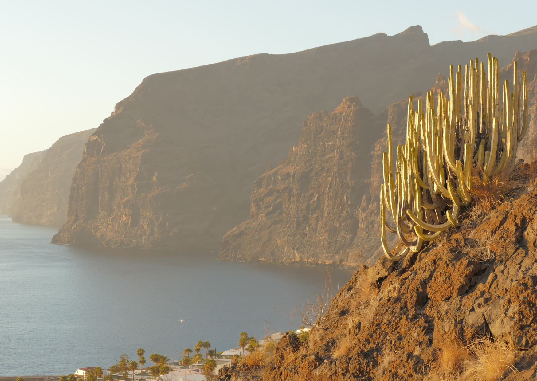 Tenerife 4