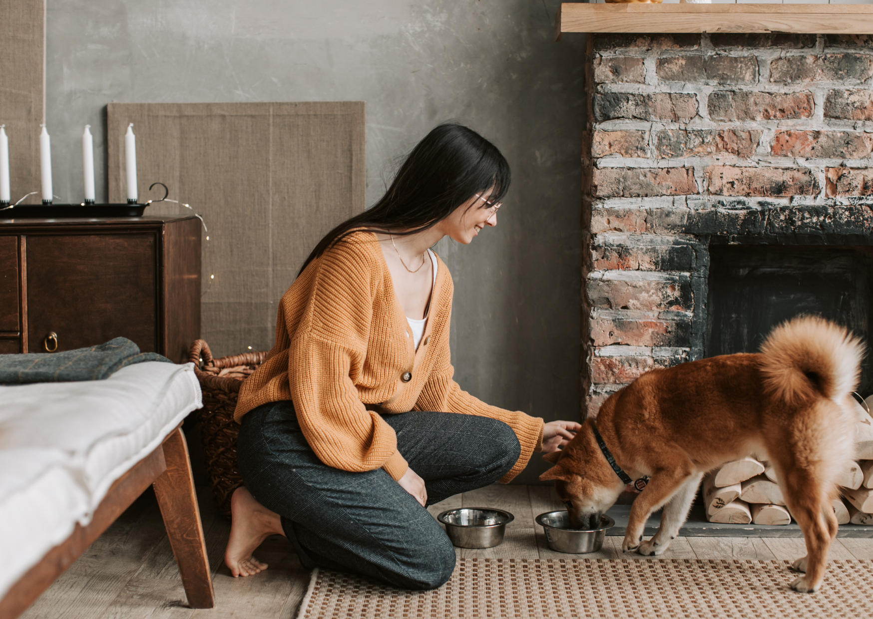 house sitting 2